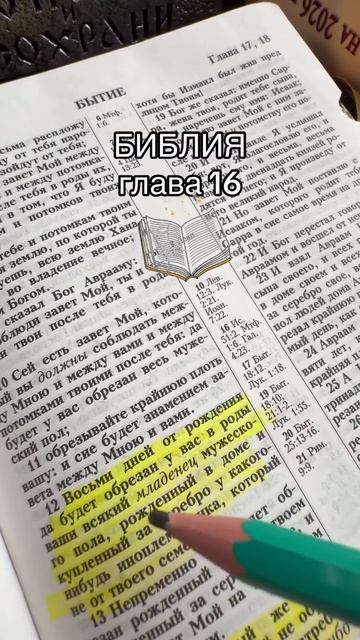 Пусть Господь одарит благодатью всех, кто нажмёт лайк ♥️