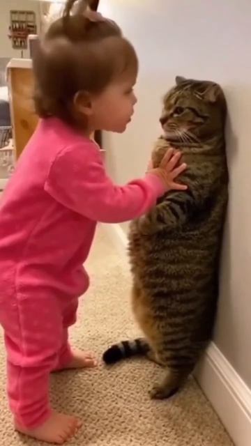 ребенок  и кот