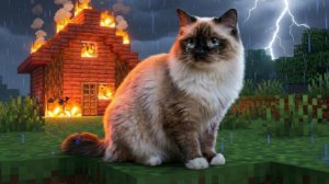 КОШЕЧКА ПОТЕРЯЛА СВОЙ ДОМ В МАЙНКРАФТЕ! ОЧЕНЬ ГРУСТНАЯ ИСТОРИЯ! БУДЕТ СЧАСТЛИВЫЙ КОНЕЦ?