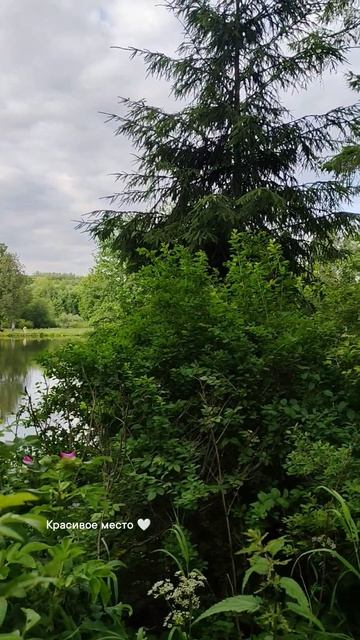 Мир прекрасен. Усадьба Середниково.