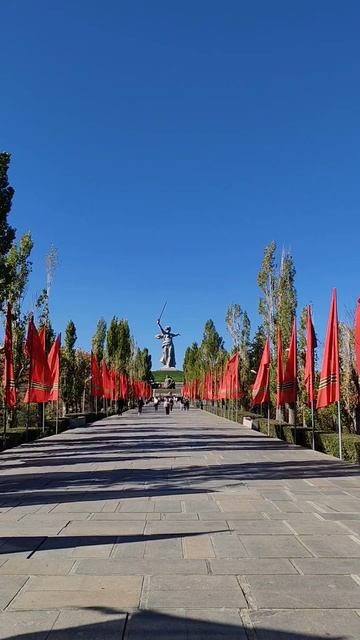 Мир прекрасен. Волгоград.