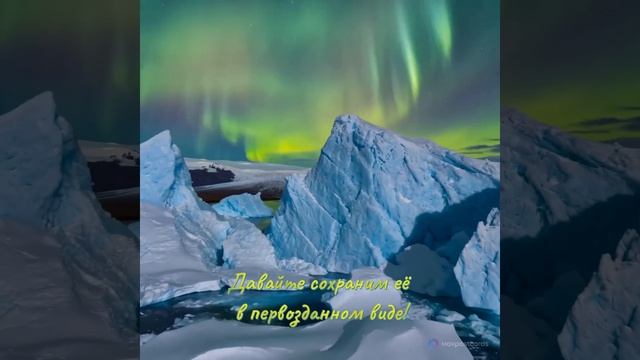 MOV_20260424_085527_623.mp4