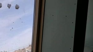 Смотрю новый офис - 9ая квартира