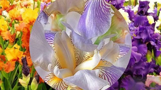 Доброго утра,приятных новостей и хороших событий - 