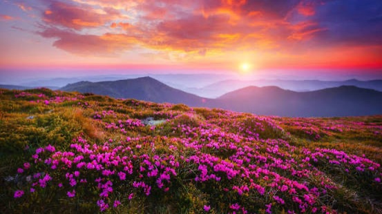 видео-визитка для проекта