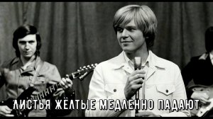 Эта дворовая песня тревожит душу "Листья жёлтые медленно падают"