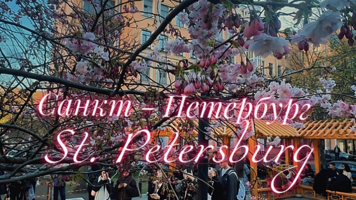 Сакура в Петербурге