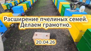 Расширение пчелиных семей. Делаем грамотно. 20.04.26