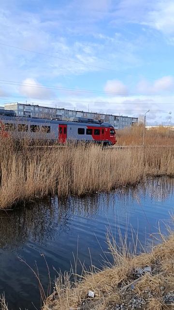 Электричка на станции 