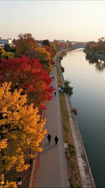Осенние прогулки вдоль реки осень природа прогулка пейзаж