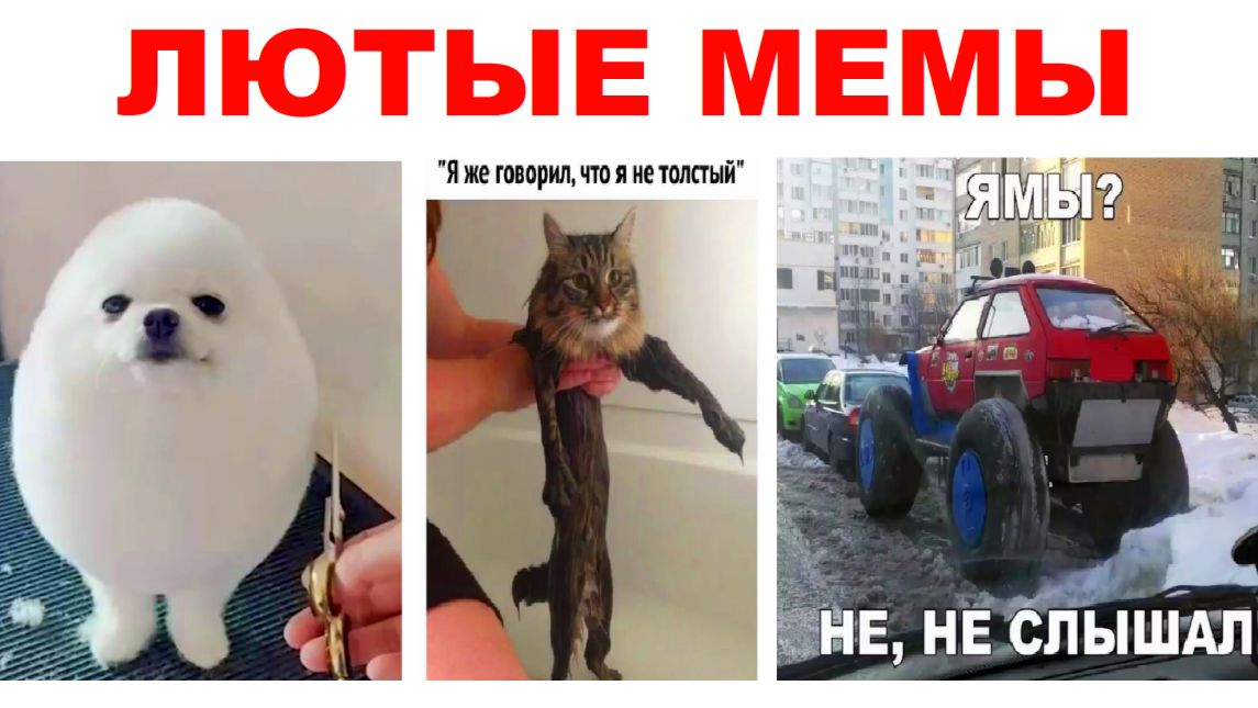 Лютые мемы. Стрижка - яйцо и странное авто!