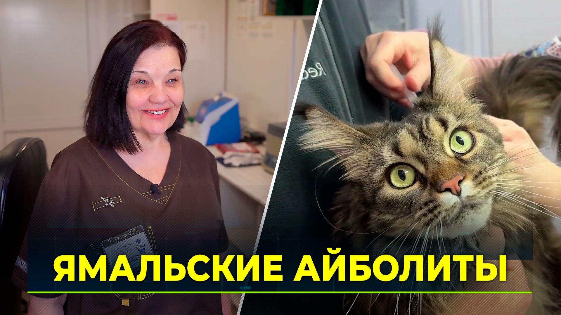 В последнюю субботу апреля отмечается Международный день ветеринара