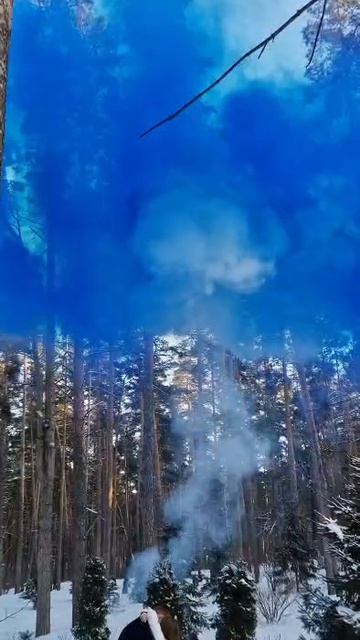 Гендер пати