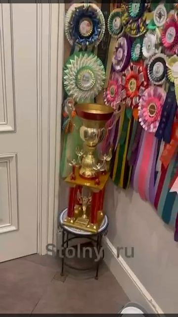 Результаты нашей выставочной деятельности за 10 месяцев