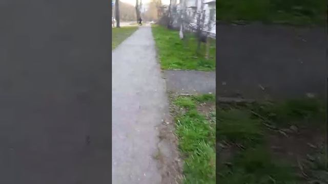 вечерний стрим