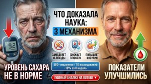 «Начал есть этот корень каждый день — сахар пришёл в норму!» Слушать реальные истории из жизни