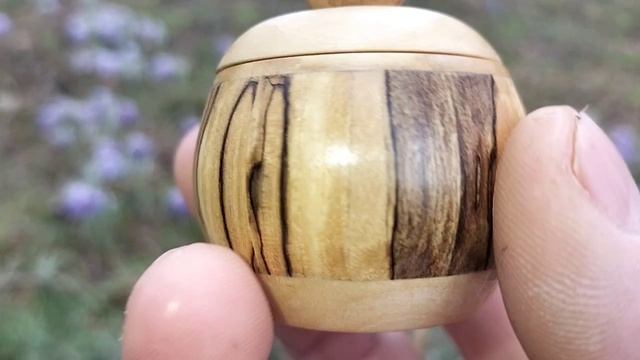 Шкатулка в апрельском лесу с первоцветами