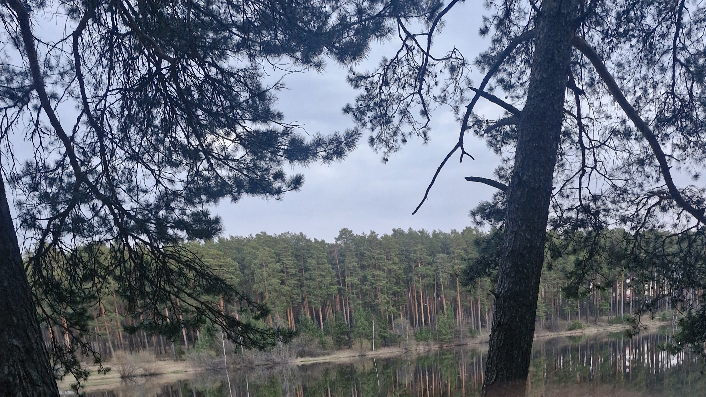 Прогулка и рыбалка