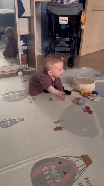 -7342193521079224496