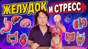 Желудок и стресс! Почему сбоит? ПРОСТЫМ языком