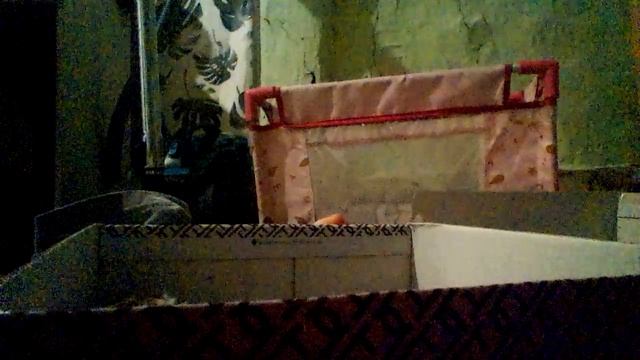 VID_20260424_204036.mp4