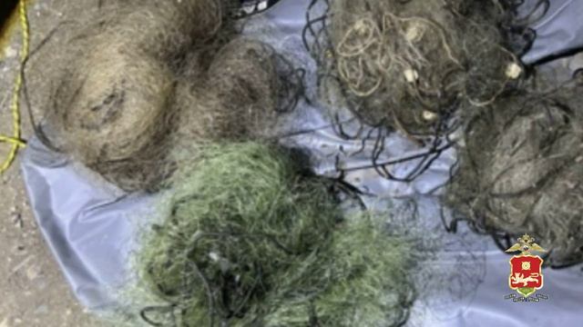 Первые нарушители запрета на вылов рыбы задержаны полицейскими Хакасии в Таштыпском районе