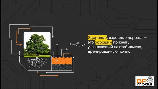 Как найти сухой участок? Скрытые признаки высокой воды