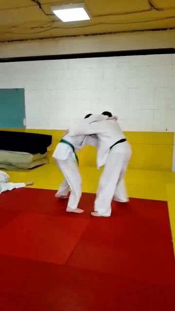 Тренировочный день Дзюдо Хиноде Челябинск