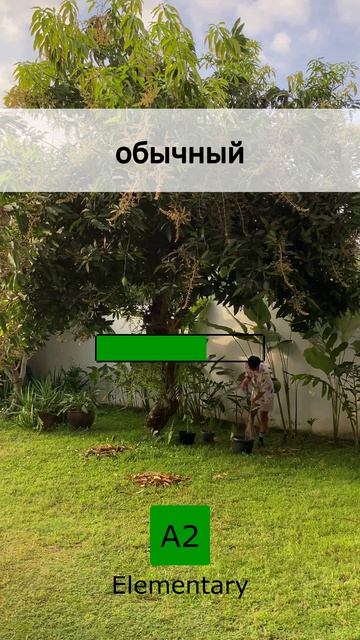 🤏 Коротко и ясно: Базовый Английский (10 May 2026)