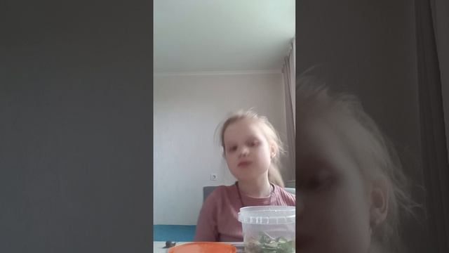 как сделать террариум для улиток