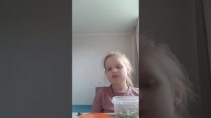 как сделать террариум для улиток