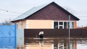 Дренаж, ливневка или бункер: как спасти жилье от наводнения
