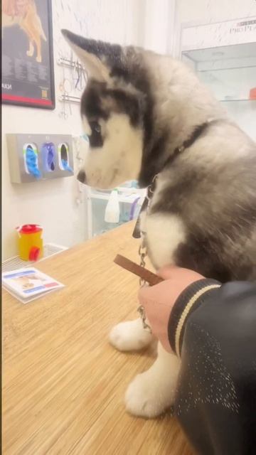 copy_7EF66E7A-DF74-4F0B-92E1-361574BE0F32