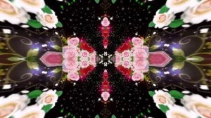 Футажи! Футаж Букеты роз К 9 от Киностудии Мудрого Кота Тимофея!!!