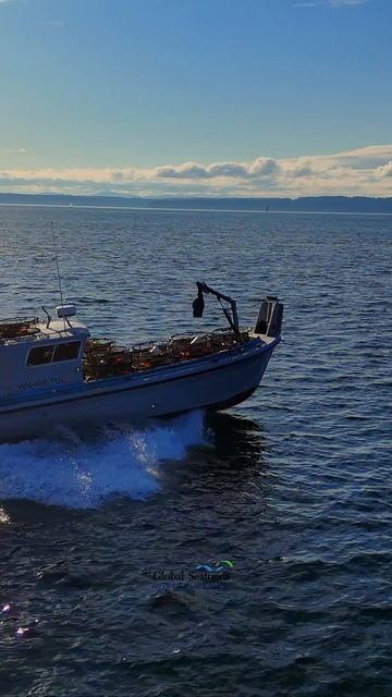 Набережная Сиэтла никогда не спит — сезон добычи краба Дандженесс