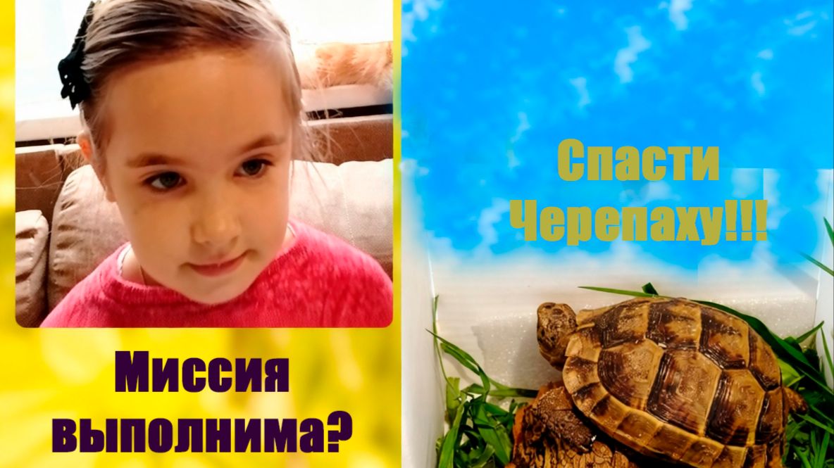 Спасти черепаху!!!