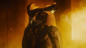 Tyrell's Owl - Premium Cyberpunk Ambient for Synthetic Shells - Blade Runner Music Vibes-(810p30)