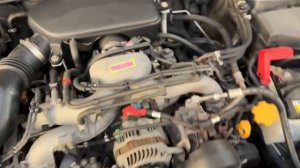 EJ20-C130310 TM2250 LEGACY BL5