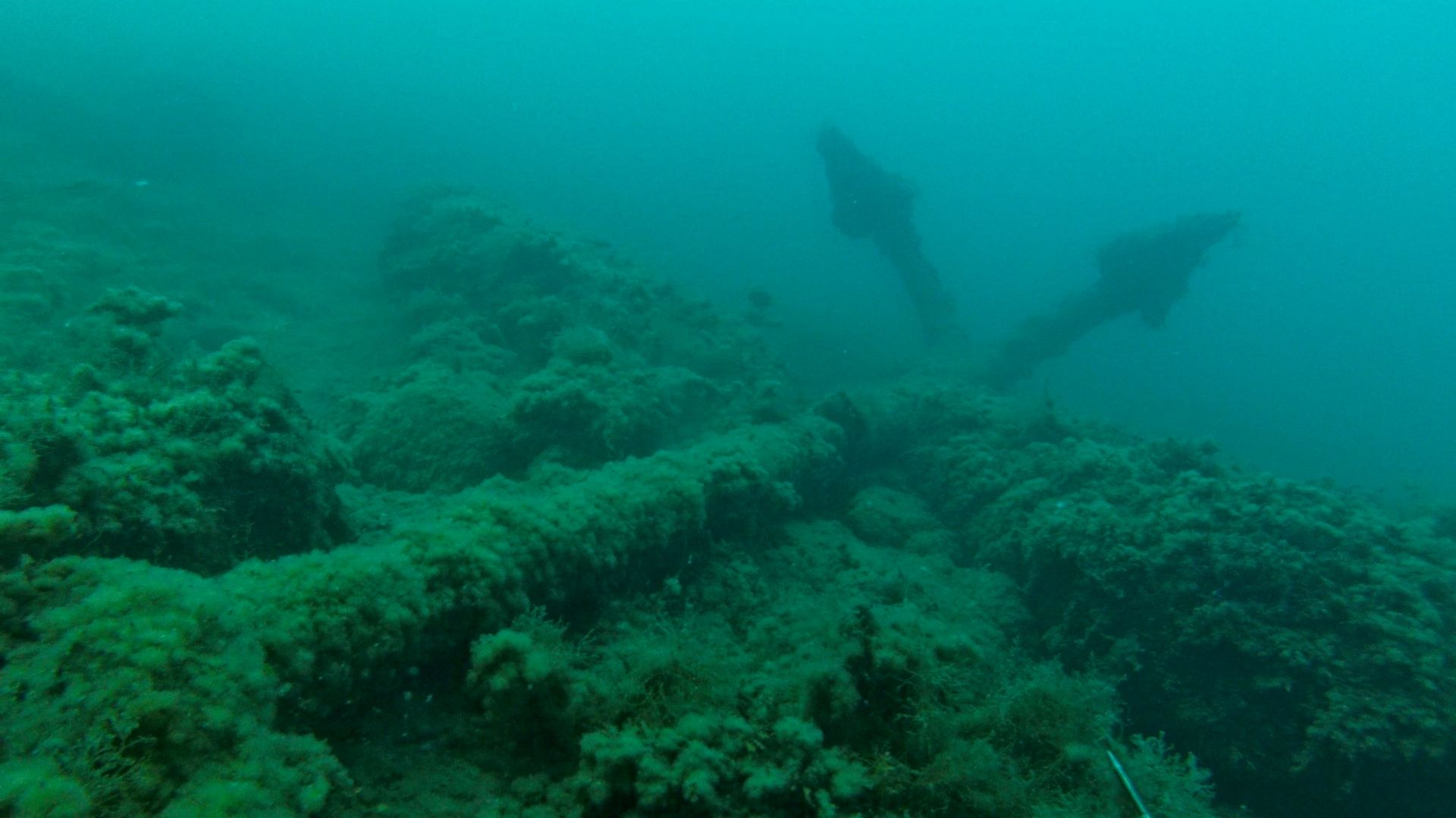 Что можно найти на дне Чёрного моря