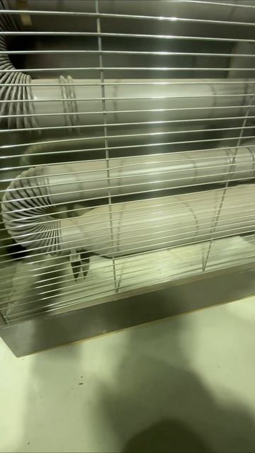 дизельный обогреватель