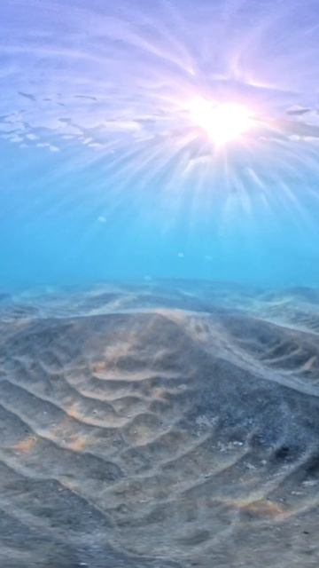 ПОД ВОДОЙ — ДРУГОЙ МИР 🌊