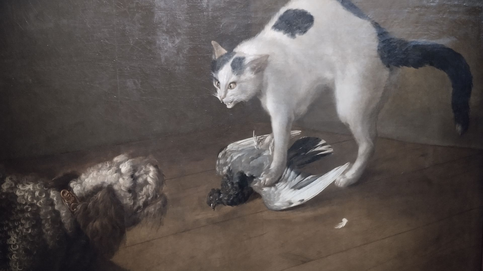 Академия художеств  _Класс зверей и птиц_1 часть