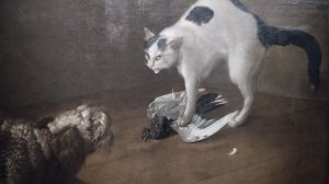 Академия художеств  _Класс зверей и птиц_1 часть