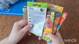 Стол-раскладушка. Отбираю семена для теплицы.