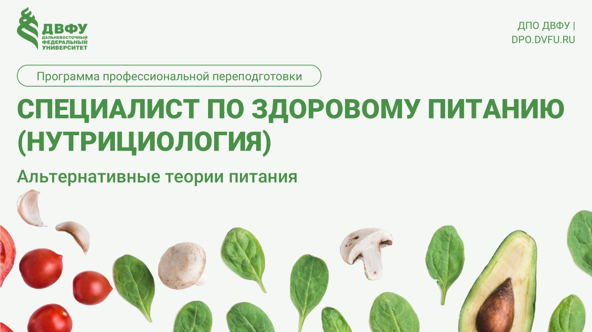 3.3.4 Альтернативные теории Киселева