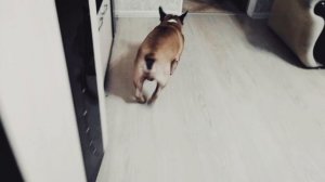 HwVideoEditor_2026_04_24_185639604.mp4