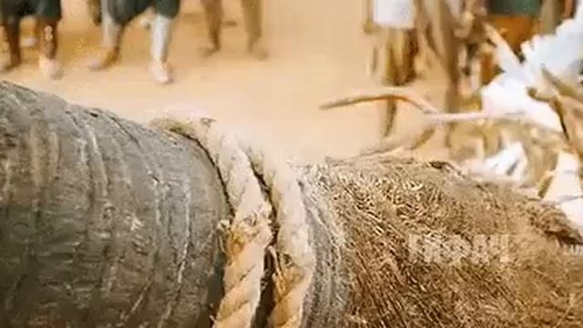 ИМПЕРСКИЕ ЛЕГИОНЕРЫ