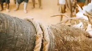 ИМПЕРСКИЕ ЛЕГИОНЕРЫ