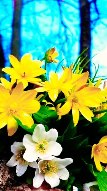 Доброго Денёчка!