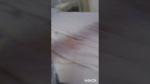 СБОРНИК ВСЕХ ЧАСТЕЙ🎄🎉🥳